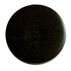 125KHz. Low Frequency (LF) Encapsulated RFID Tag