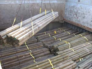 Utility Poles